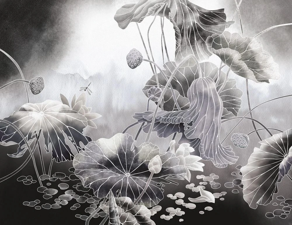 Фотообои и фрески на стену - в ванную комнату, графика, лотосы, листья лотосов, черно-белые