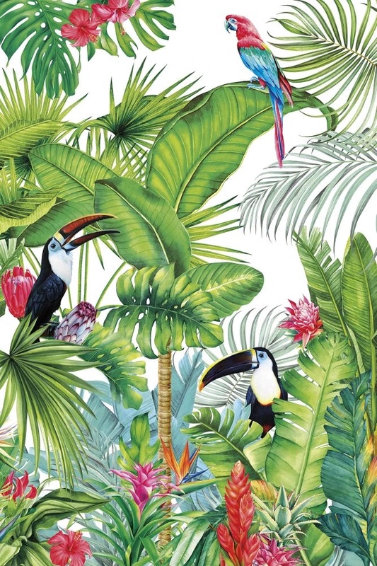 Фотообои и фрески на стену - в детскую комнату, тропики, пальмы, попугаи, зеленая, красные