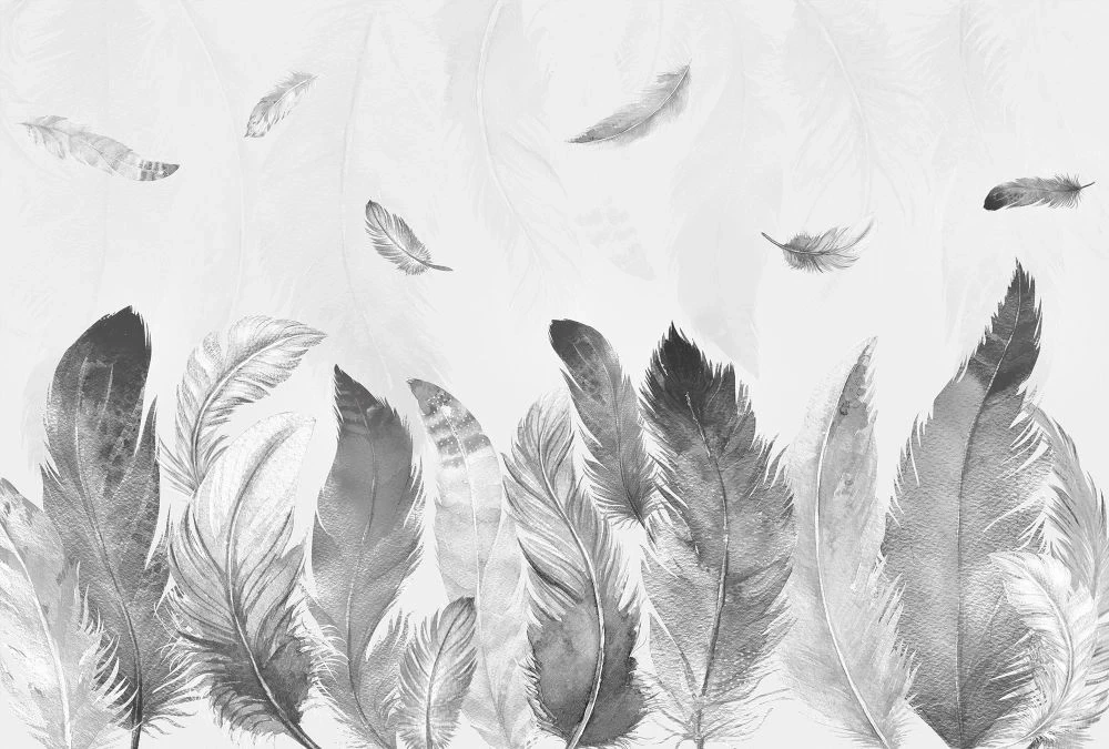 Фотообои на стену - молодежные, перья, черно-белые