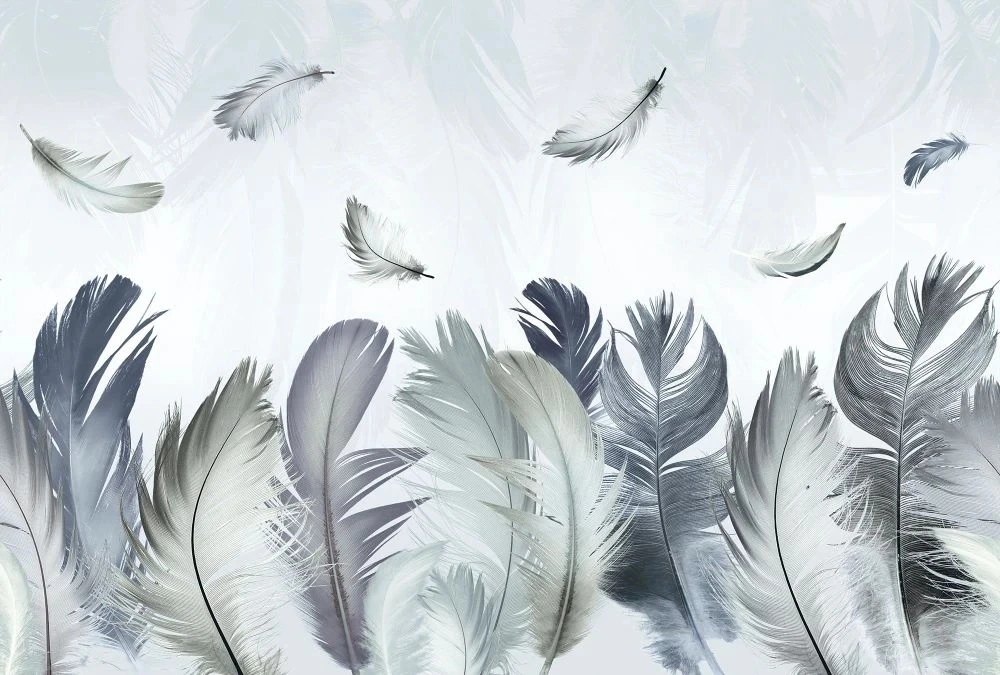 Фотообои на стену - молодежные, перья, голубые