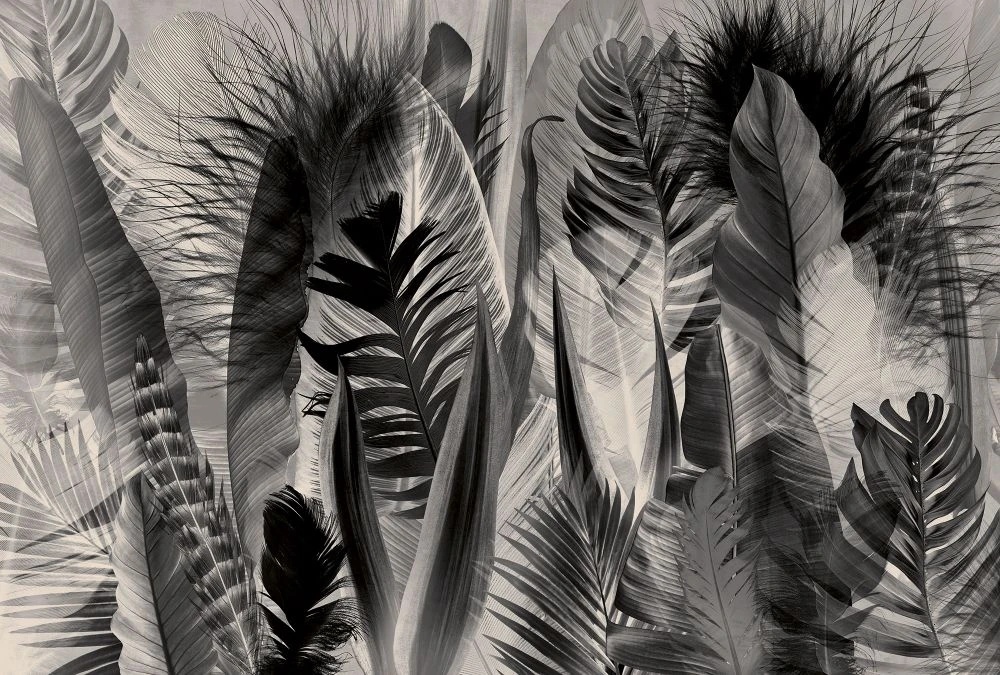 Фотообои на стену - молодежные, перья, бежево-черные, крупные