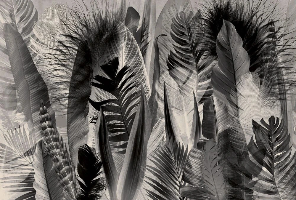 Фотообои на стену - молодежные, перья, бежево-черные, крупные