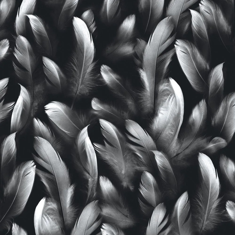 Фотообои на стену - молодежные, перья, черно-белые, квадратные