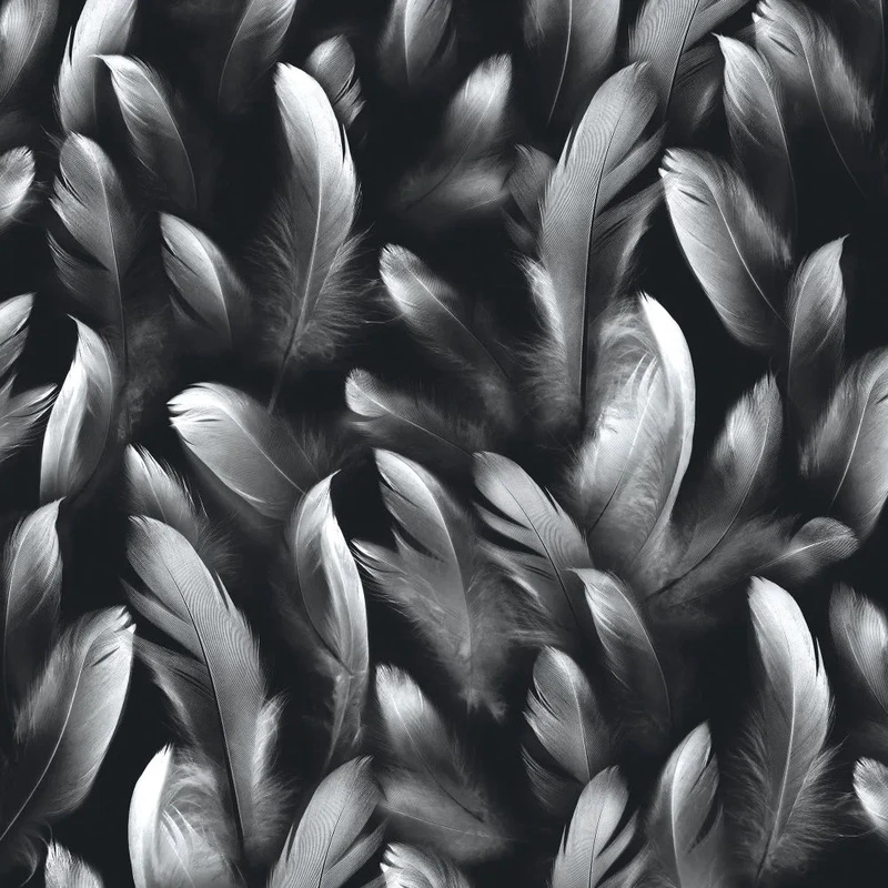 Фотообои и фрески на стену - молодежные, перья, черно-белые, квадратные