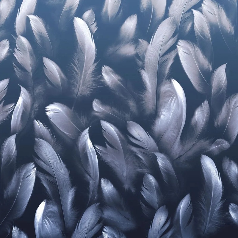 Фотообои на стену - молодежные, перья, темно синие, квадратные