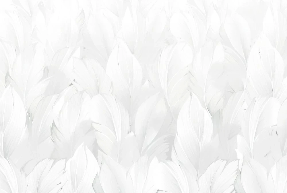 Фотообои на стену - молодежные, перья, светлые