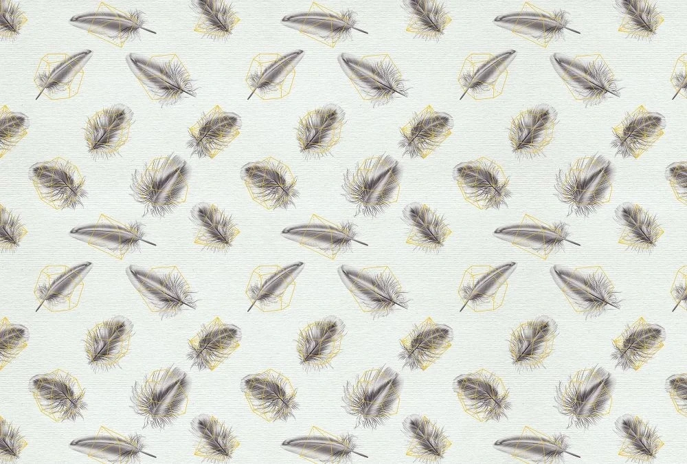 Фотообои и фрески на стену - молодежные, перья, бежевые, на сером фоне