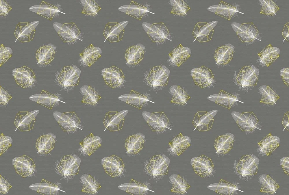 Фотообои на стену - молодежные, перья, на темно сером фоне