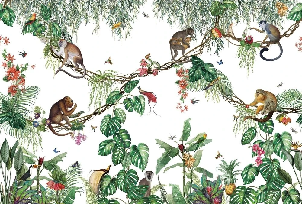 Фотообои и фрески на стену - в детскую комнату, обои с обезьянками, на белом фоне