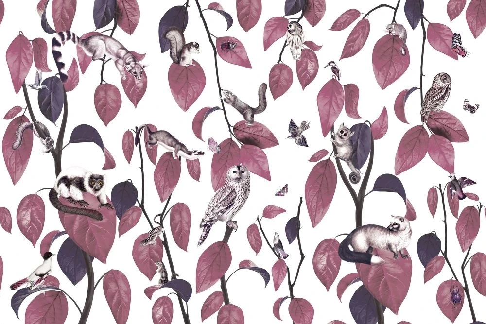 Фотообои на стену - в детскую комнату, листья и птицы, бордовые