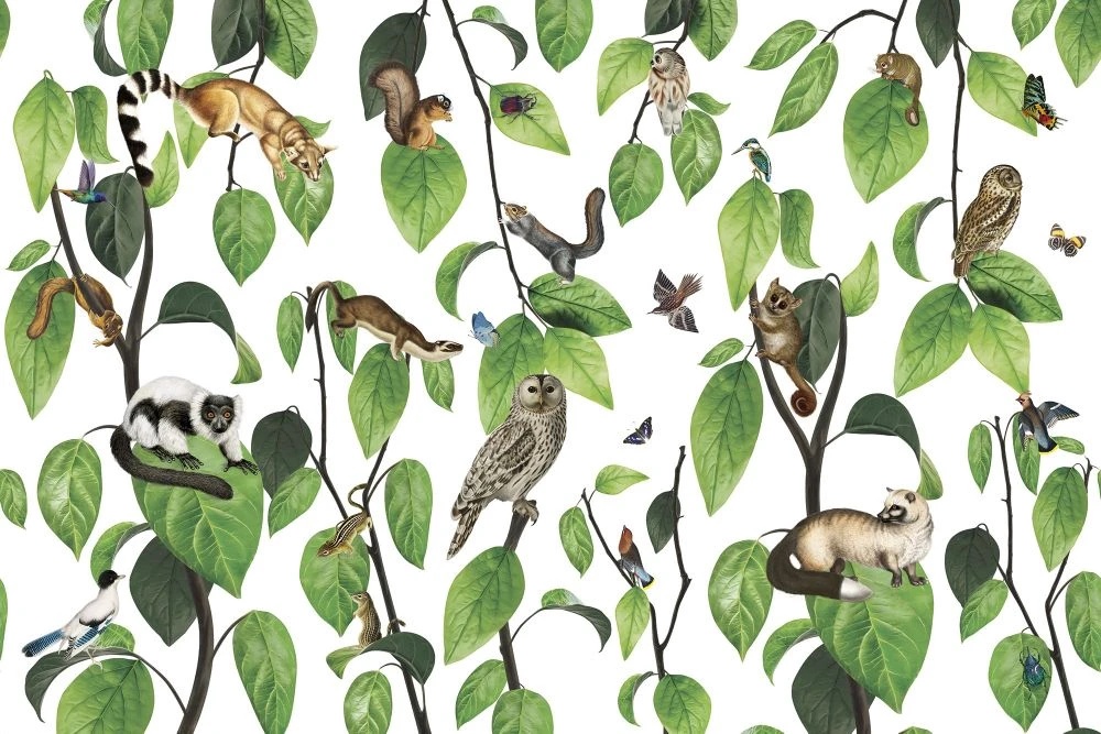 Фотообои на стену - в детскую комнату, листья и птицы, зеленые