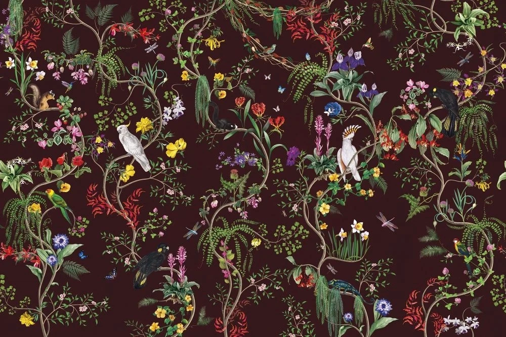 Фотообои на стену - в детскую комнату, обои с птицами, яркие, бордовые