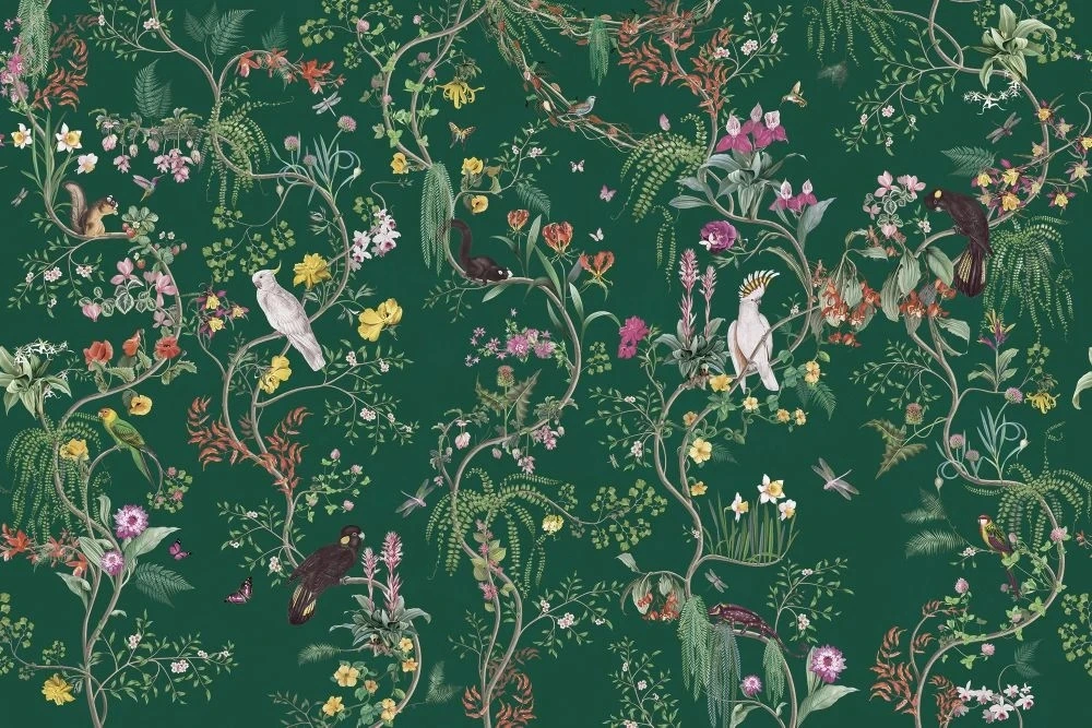 Фотообои и фрески на стену - в детскую комнату, обои с птицами, темно зеленая