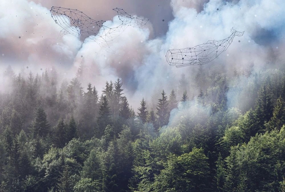 Фотообои на стену - в офис, обои с китом, с лесом 