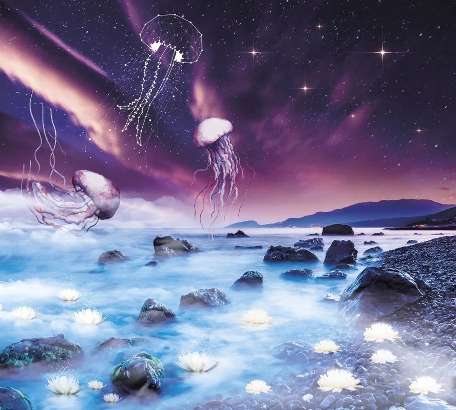 Фотообои на стену - обои с медузами