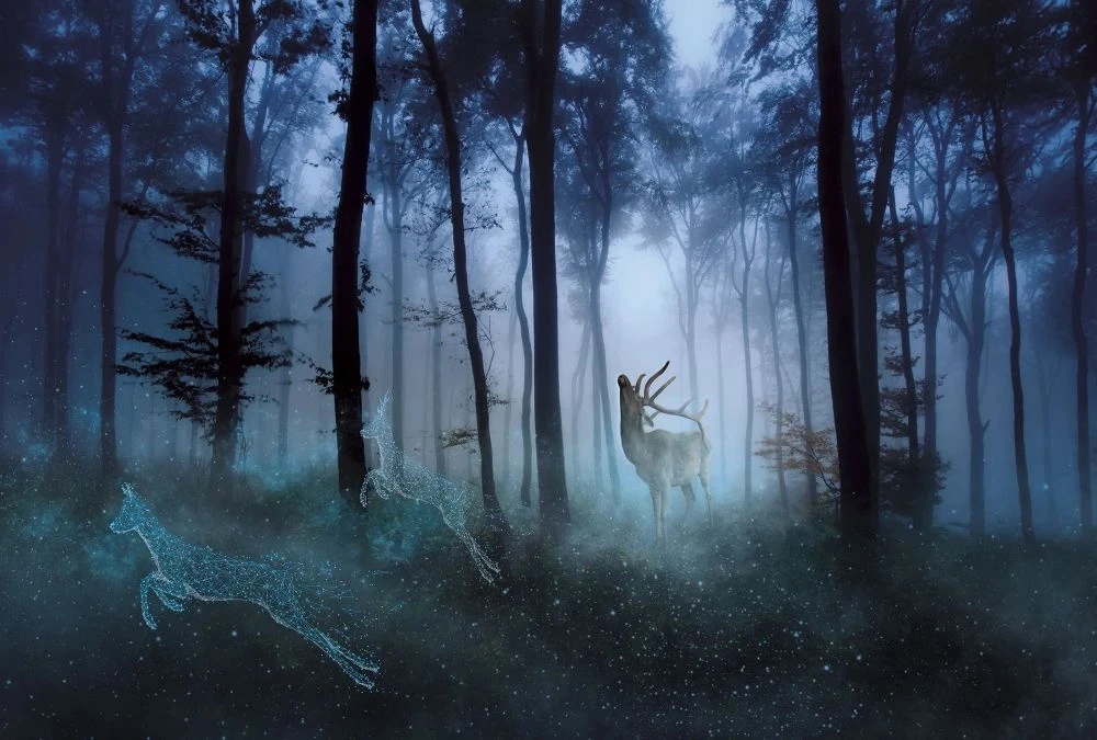Фотообои на стену - в офис, ночной лес, олень