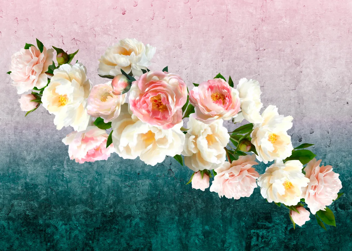 Фотообои и фрески на стену - белые, розы, зеленые, цветы, листья, розовые
