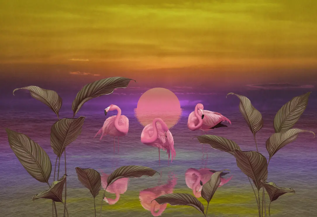 Фотообои и фрески на стену - озеро, растения, солнце, листья, рассвет, небо, пруд, закат, кусты, фламинго, розовый фламинго