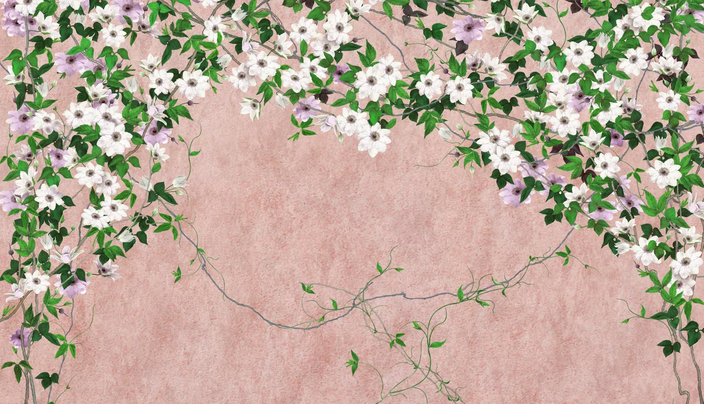 Фотообои и фрески на стену - цветы, лианы, листья, белые, зеленые, клематисы, розовые