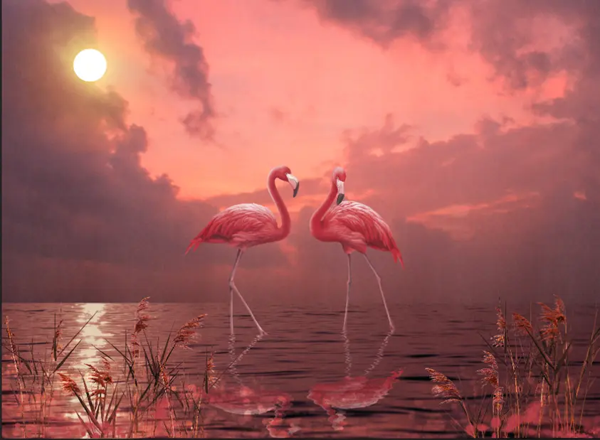 Фотообои и фрески на стену - фламинго, птицы, розовый фламинго, вода, закат