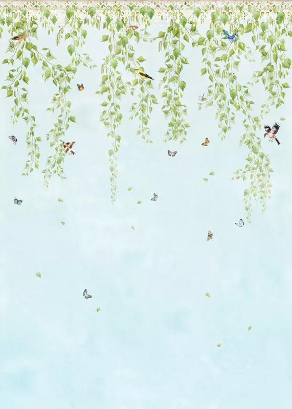 Фотообои и фрески на стену - зеленые, бабочки, березы, птицы, лепестки, листья, бабочка, ветви, голубые