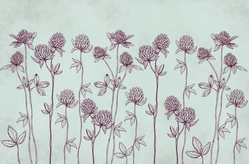 минимализм, растения, клевер, цветы, линии