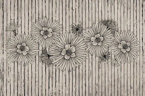 минимализм, лепестки, лофт, цветы, линии