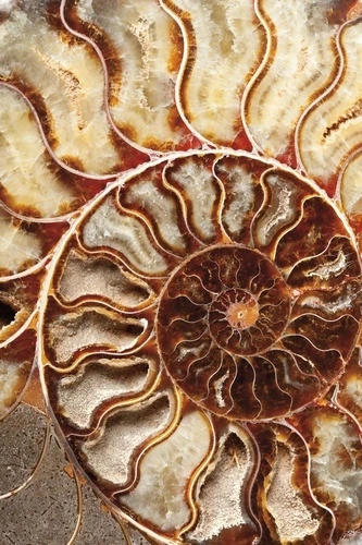 в ванную комнату, под мрамор, коричневая, бежевая