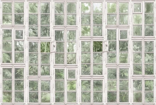 в загородный дом, тропики, окно