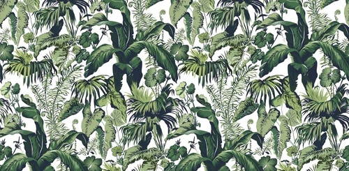 в загородный дом, тропические растения, на белом фоне