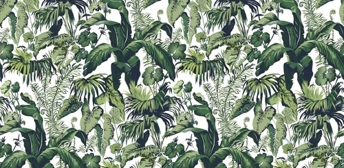 в загородный дом, тропические растения, на белом фоне