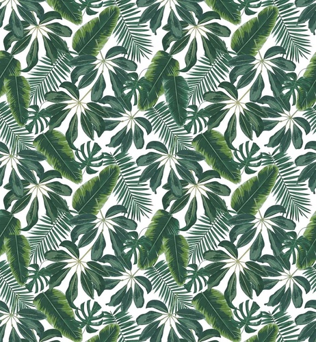 в  загородный дом, листья, тропические, темно зеленые, на белом фоне