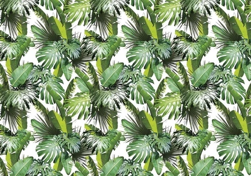 в загородный дом, листья, тропические, ярко зеленые, на белом фоне