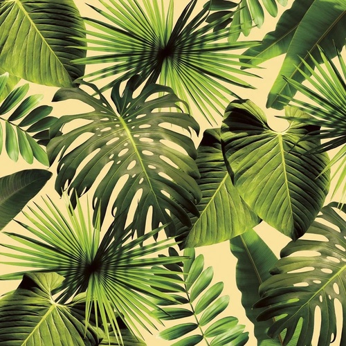 в загородный дом, листья, тропические, крупные, на желтом фоне