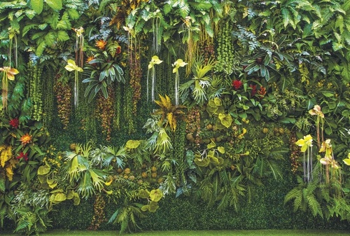 в загородный дом, листья тропические, стена