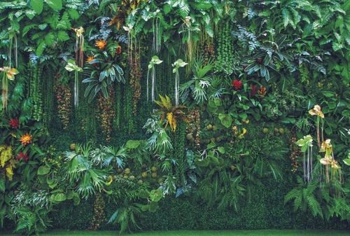 в загородный дом, листья, тропические, на стене