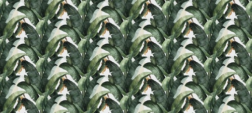 в загородный дом, листья банановые