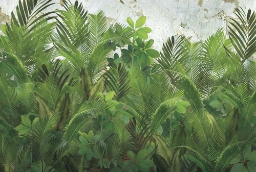 в загородный дом, пальмы, зеленые