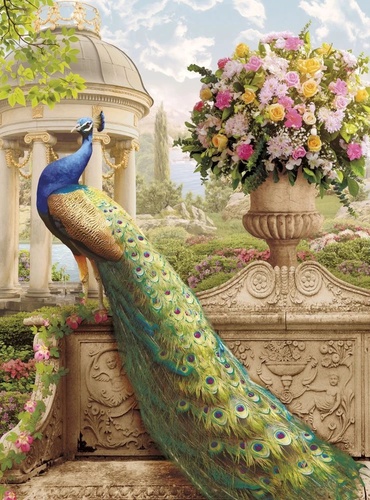 в загородный дом, павлин, яркий, ваза с цветами