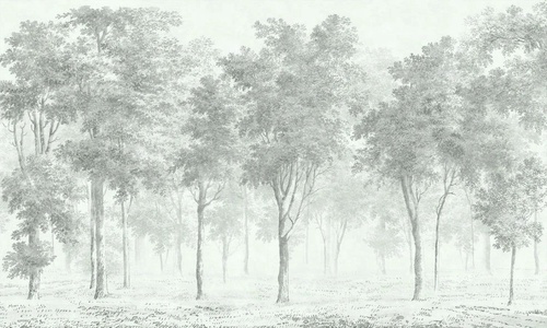 пейзаж, светлые деревья, зеленые, бирюзовые, лес, лес в тумане