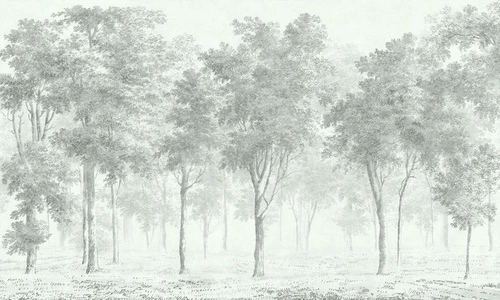 пейзаж, светлые деревья, зеленые, бирюзовые, лес, лес в тумане, новинки