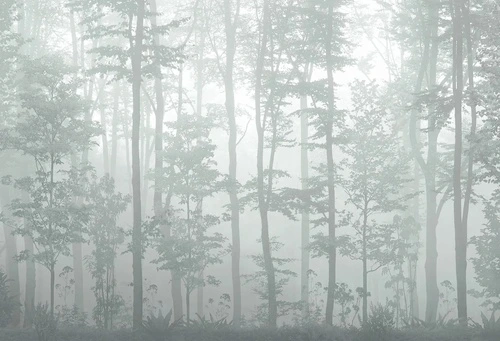 пейзаж, деревья, сосны, сосновый лес, природа, зеленая