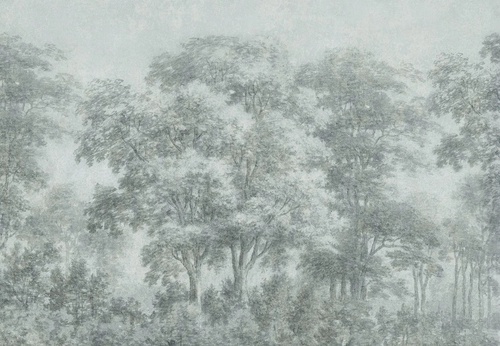 пейзаж, лес, деревья, зеленая