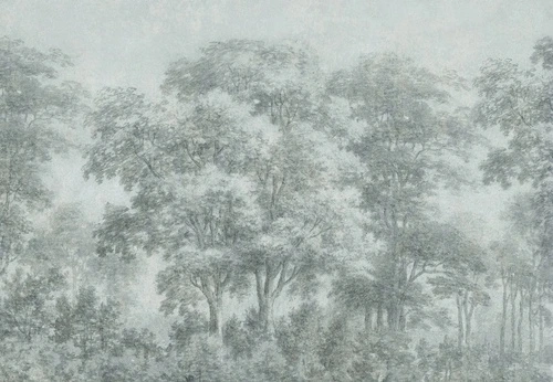 пейзаж, лес, деревья, зеленая