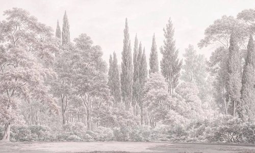 пейзаж, лес, бежевые, бежевый лес, серый лес, светлые деревья, деревья в лесу, светлый пейзаж, новинки