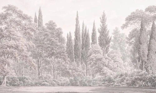 пейзаж, лес, бежевые, бежевый лес, серый лес, светлые деревья, деревья в лесу, светлый пейзаж, новинки