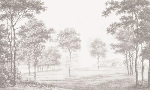 пейзаж, графика, гравюра, лес, деревья, бежевые, в коридор, в прихожую, в загородный дом