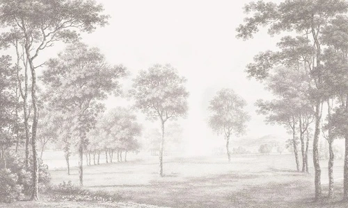 пейзаж, графика, гравюра, лес, деревья, бежевые, в коридор, в прихожую, в загородный дом, новинки