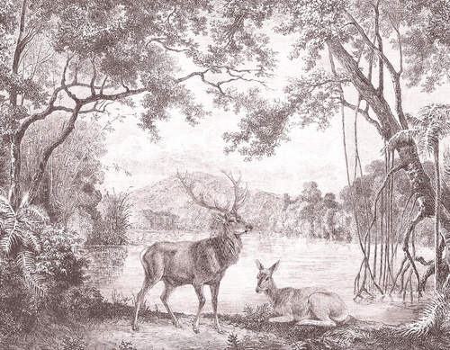 пейзаж, обои гравюра, гравюра, олень, олени, графика, обои чёрный лес, тёмный лес обои, пейзаж природа обои