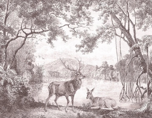 пейзаж, обои гравюра, гравюра, олень, олени, графика, обои чёрный лес, тёмный лес обои, пейзаж природа обои